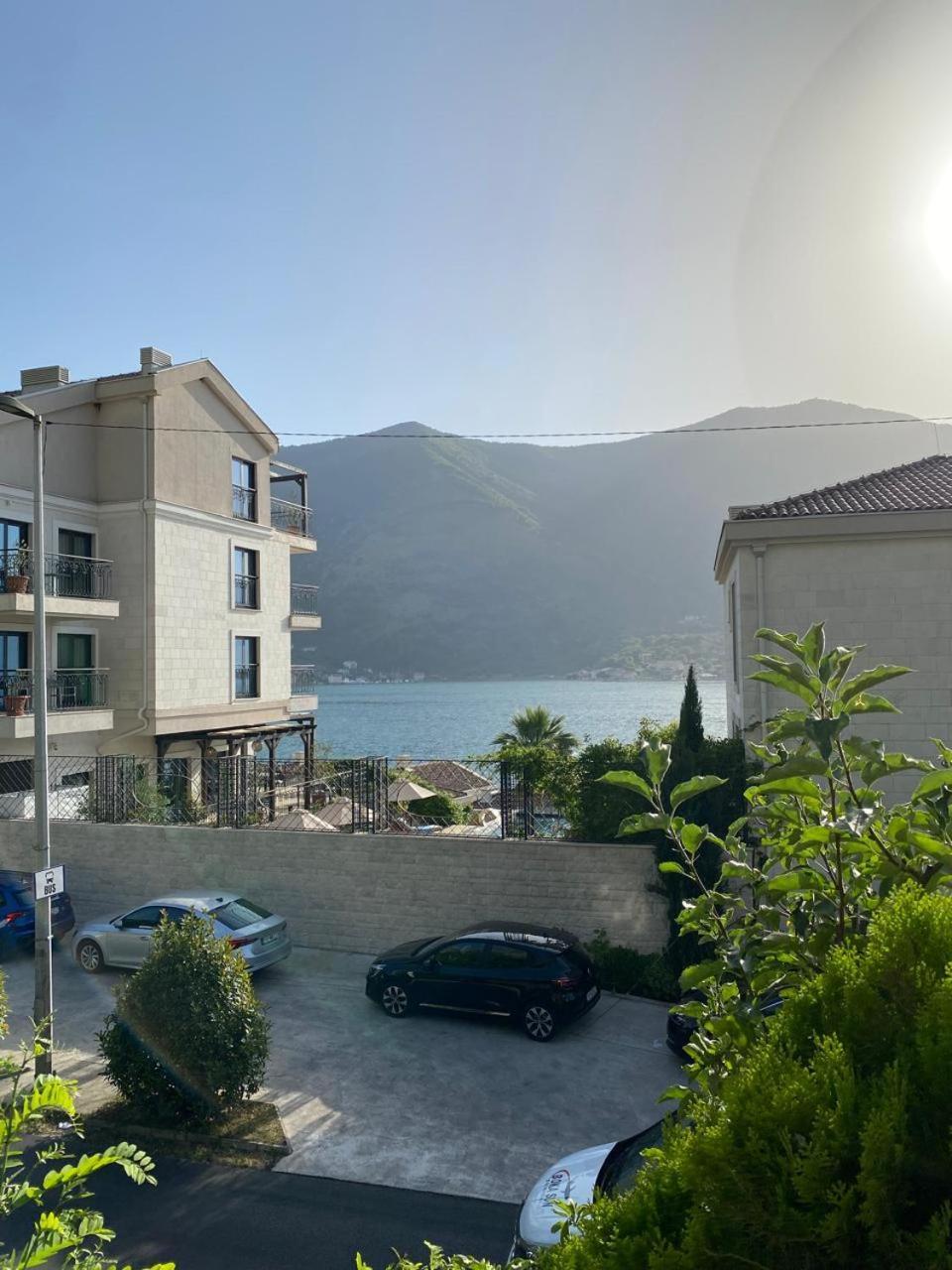 Kotor Tomici (Kotor)